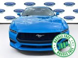Used 2024 Ford Mustang Premium image 2