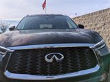 New 2025 INFINITI QX60 Luxe w/ Cargo Package image 4