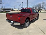 New 2025 Ford F150 XLT w/ Equipment Group 301A Standard image 3