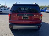 New 2026 Honda Passport RTL image 4