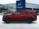 New 2025 Hyundai Santa Fe Calligraphy image 3