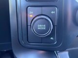 New 2025 Ford F150 STX w/ STX Black Appearance Package image 4