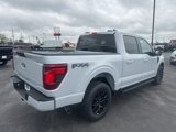New 2025 Ford F150 XLT w/ Equipment Group 301A Standard image 5