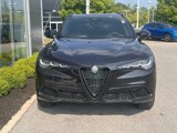 New 2025 Alfa Romeo Stelvio Sprint image 4