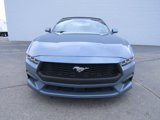 Used 2024 Ford Mustang Premium image 3