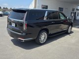 Used 2023 Cadillac Escalade ESV Premium Luxury image 5