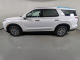 New 2025 Hyundai Palisade SEL image 4