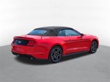 Used 2022 Ford Mustang Premium image 3