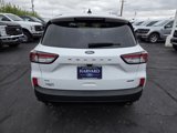 Used 2022 Ford Escape SE image 5