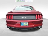 Used 2019 Ford Mustang GT Premium w/ Equipment Group 401A image 4