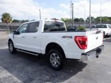 Used 2023 Ford F150 XLT w/ Equipment Group 301A Mid image 3