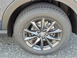 Used 2026 Honda CR-V EX-L image 5
