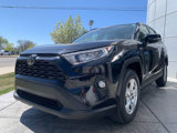 Used 2019 Toyota RAV4 XLE image 3