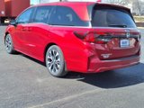 New 2025 Honda Odyssey Elite image 3