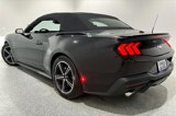 Used 2024 Ford Mustang Premium image 4