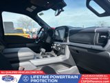 New 2025 Ford F150 XLT w/ Equipment Group 302A MID image 3