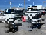 Used 2019 Ford F150 Raptor w/ Equipment Group 802A Luxury image 3