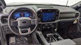 New 2025 Ford F150 XLT image 3
