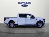 New 2025 Ford F150 XLT w/ Equipment Group 303A High image 2