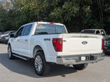 Used 2025 Ford F150 XLT w/ Equipment Group 302A MID image 5