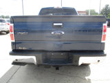 Used 2013 Ford F150 XLT w/ Luxury Equipment Group image 5
