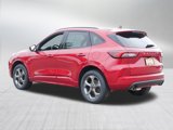 Used 2024 Ford Escape ST-Line image 5