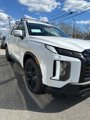 New 2025 Hyundai Palisade XRT image 3