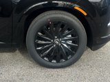New 2025 Hyundai Palisade Calligraphy image 2