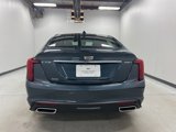 New 2026 Cadillac CT5 Premium Luxury w/ Technology Package image 5