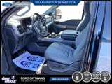 Certified 2023 Ford F150 XLT w/ Equipment Group 302A High image 2
