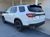 New 2025 Honda Pilot Black Edition image 3