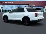New 2025 Hyundai Palisade XRT image 4