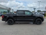 New 2025 Ford F150 Platinum image 3