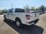 Used 2010 Ford F150 XLT image 5