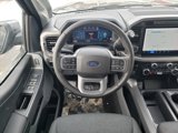 New 2025 Ford F150 XLT w/ Equipment Group 302A MID image 3