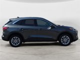 Used 2020 Ford Escape SE image 6