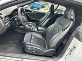 Certified 2024 Audi S5 Premium Plus w/ Premium Plus Package image 6