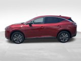 New 2025 Nissan Murano SL w/ Cargo Package image 5