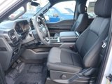 New 2025 Ford F150 STX w/ STX Black Appearance Package image 2