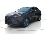 New 2025 Lexus NX 300h AWD w/ Luxury Package image 2