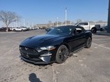 Certified 2022 Ford Mustang Premium image 3