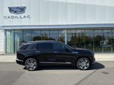 New 2026 Cadillac Vistiq Luxury image 2