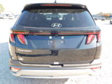 New 2025 Hyundai Tucson SEL image 6
