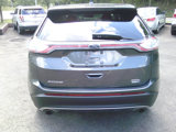 Used 2017 Ford Edge SEL w/ Equipment Group 201A image 5