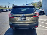 New 2025 Subaru Ascent Bronze Edition image 3