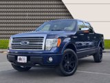 Used 2009 Ford F150 Platinum image 2