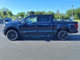 New 2025 Ford F150 Platinum image 2