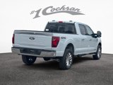 New 2025 Ford F150 XLT image 5