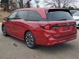 New 2025 Honda Odyssey Elite image 2