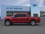 New 2025 Ford F150 XLT w/ Equipment Group 302A MID image 3